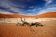 Namibia Dead-Vlei 