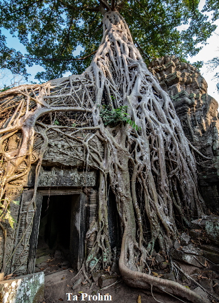 Angkor3